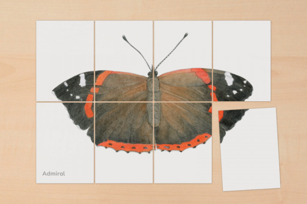 puzzle_raupe_schmetterling2