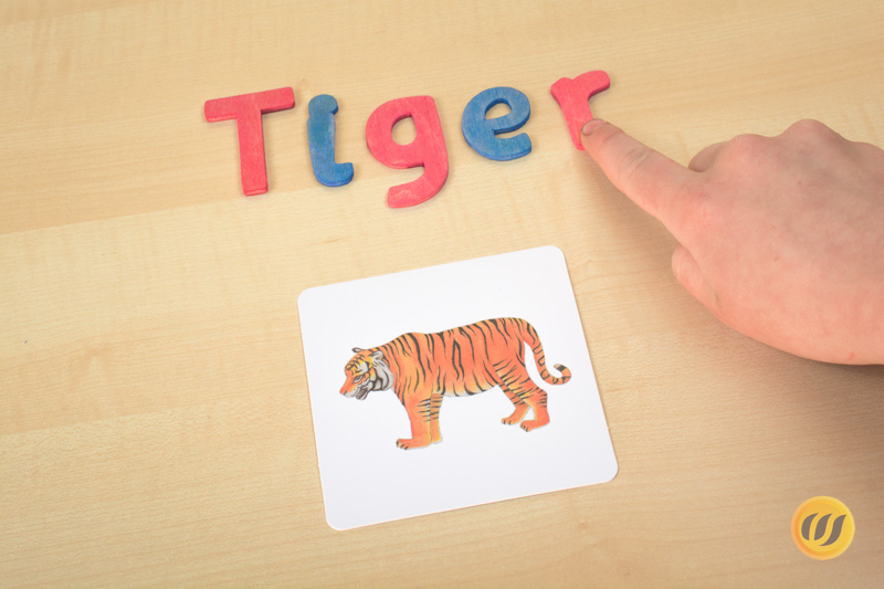 Tiger mit dem beweglichen Alphabet geschrieben