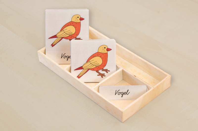 Nomenklaturkarten Teile des Vogels
