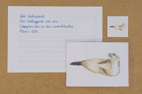 abschreibekartei_antarktika3