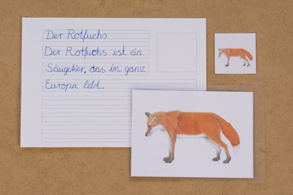 abschreibekartei_europa2