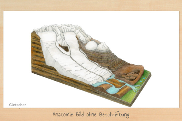 anatomie_gletscher_download_3