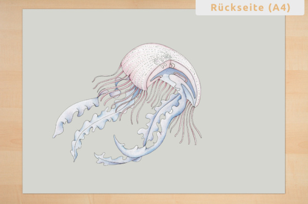 anatomie_qualle_print_5