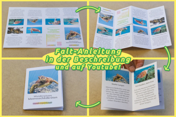 Faltbüchlein: "Wunderwissen zur Meeresschildkröte" (Download)
