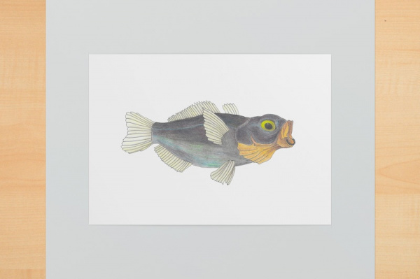 Digitaler Kunstdruck A6