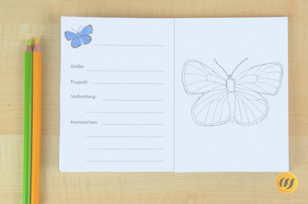 Download-Paket: Heimische Schmetterlinge