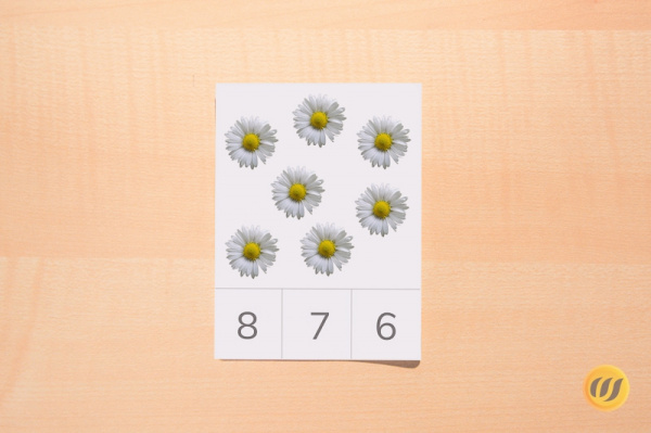 Zählkarten Blumen - Download