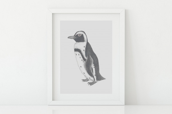 brillenpinguin2