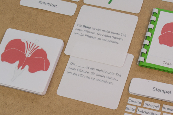 definition_bluete_kiha3