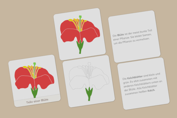 (Deutsch - Kinderhaus - Download)