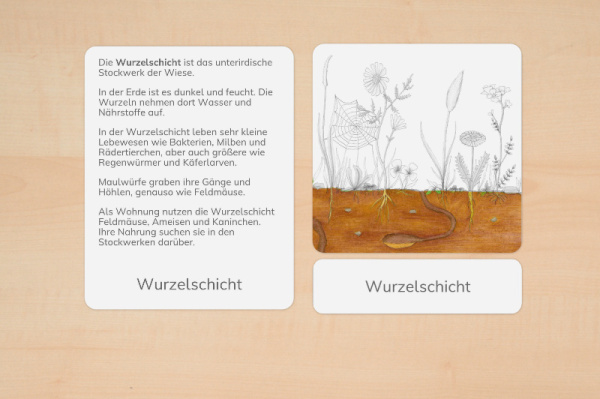definition_wiese_2