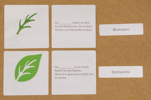 definitionsmaterial_teile_blatt_kinderhaus4