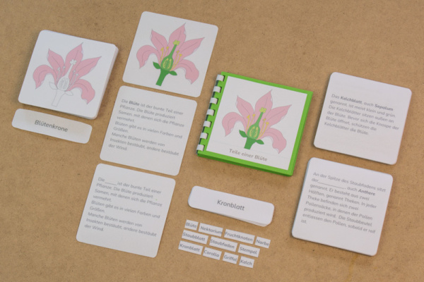 definiton_bluete_prim3