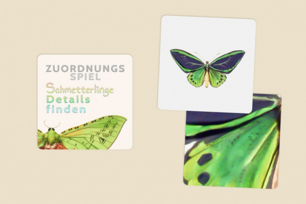 details_schmett_1_978496963