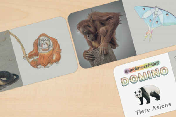 domino_tiere_asien_2