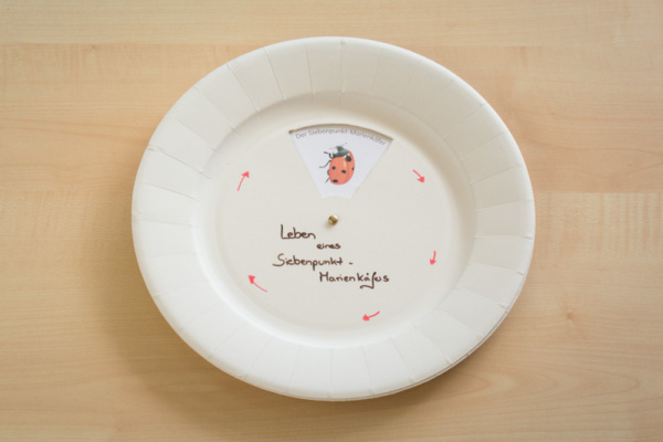 drehkreis_marienkaefer3