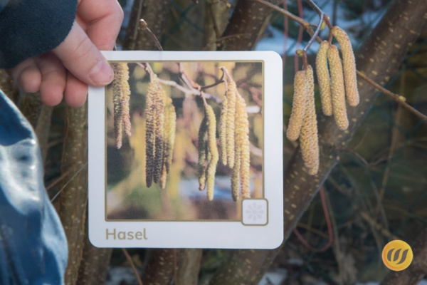 ek_fruehling_7