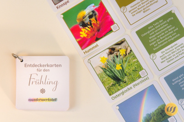 Entdeckerkarten - Jahreszeitenpaket (3. Auflage)