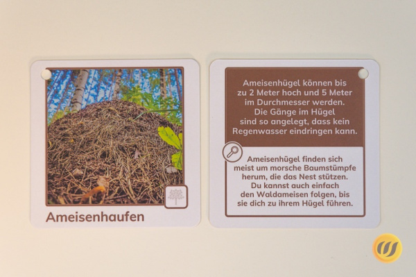 Entdeckerkarten-Themenpaket (Wald, Reise, Wandern, Stadt)
