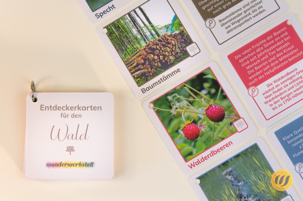Entdeckerkarten-Themenpaket (Wald, Reise, Wandern, Stadt)
