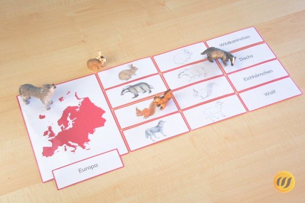 europa_tiere_kont