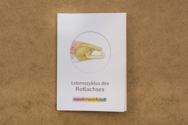 faltbuechlein_rotlachs