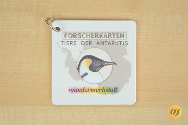 forscher_antarktis_druck