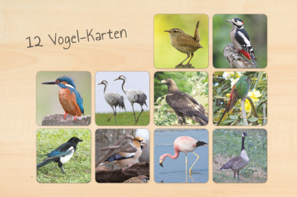 (Download - Deutsch)