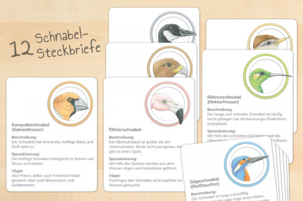 (Download - Deutsch)