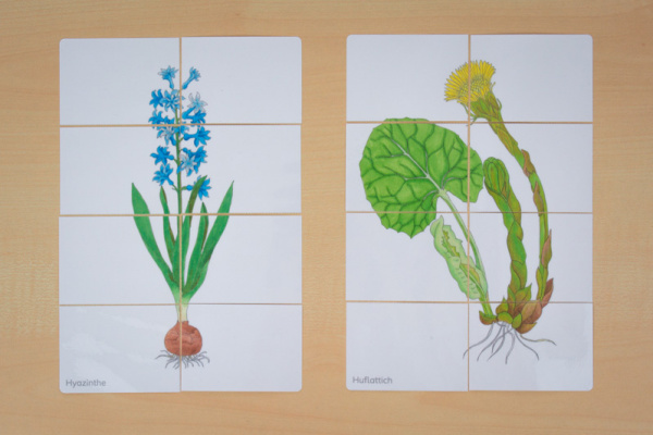 fruehblueher_puzzle1