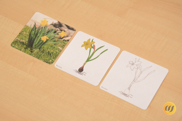 Download-Paket: Frühling