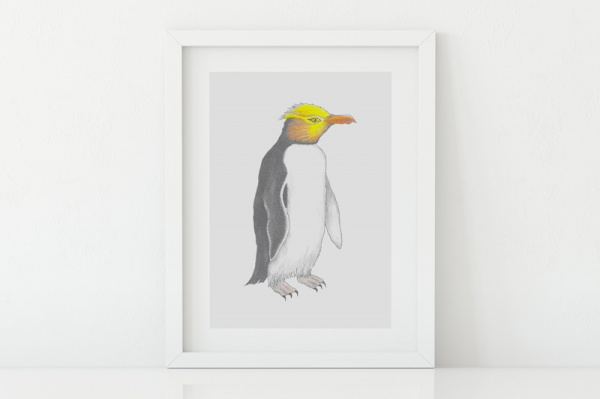 gelbaugenpinguin2