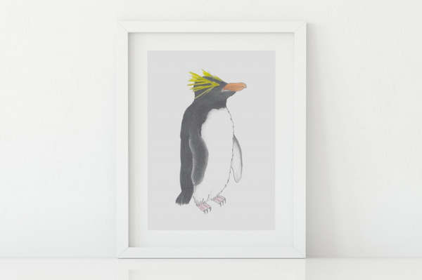 goldschopfpinguin2