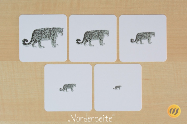 groessen_asien_druck5