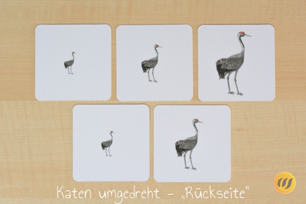 groessen_asien_druck6