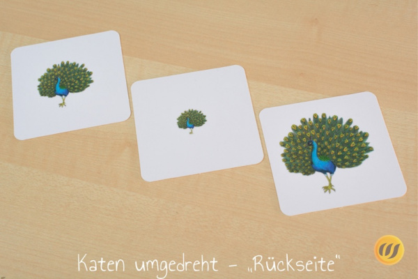 groessen_asien_druck8