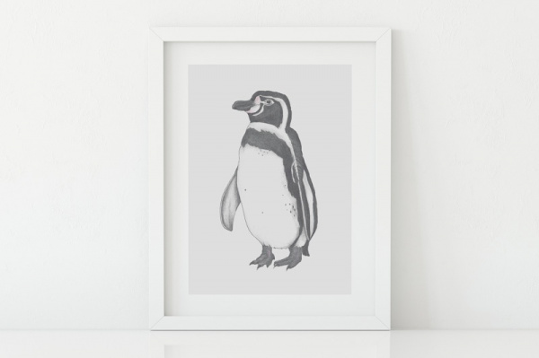 humboldtpinguin2