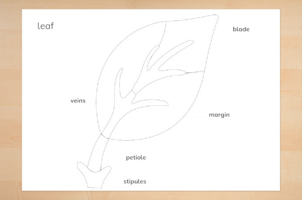 kontrollkarten_blatt_2