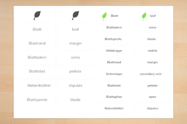 kontrollkarten_blatt_3