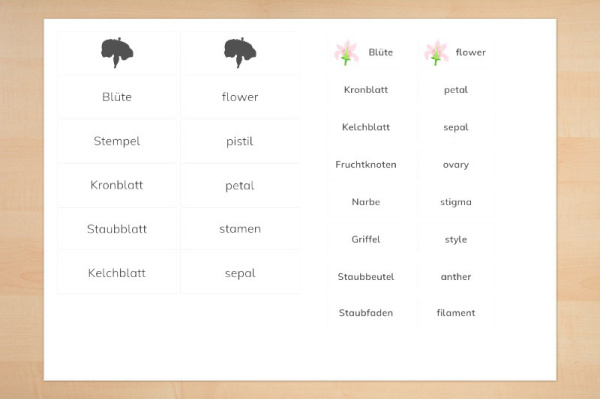 kontrollkarten_bluete_3