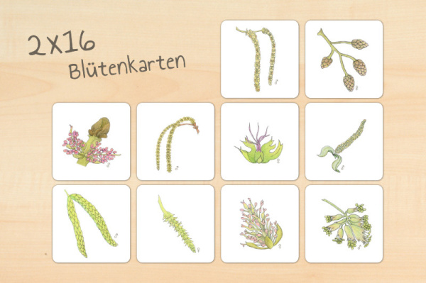 laubwerkstatt_download_3