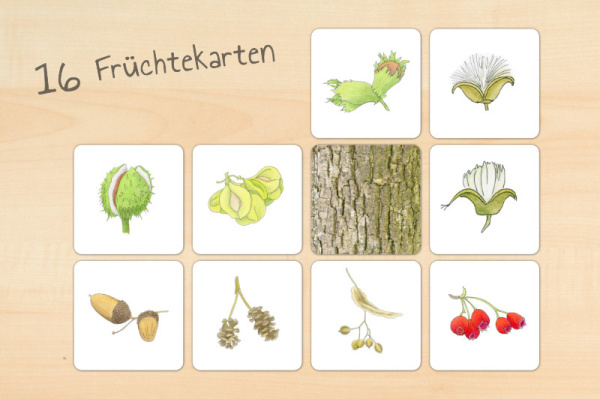 laubwerkstatt_download_4
