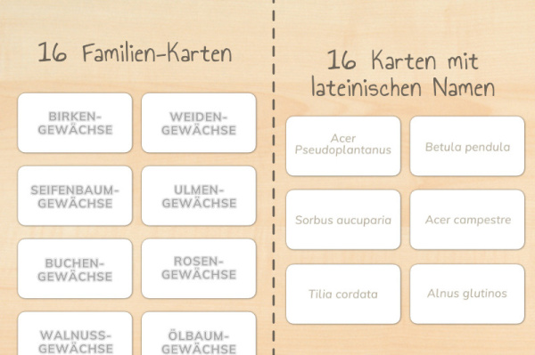 laubwerkstatt_download_6