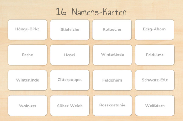 laubwerkstatt_download_7