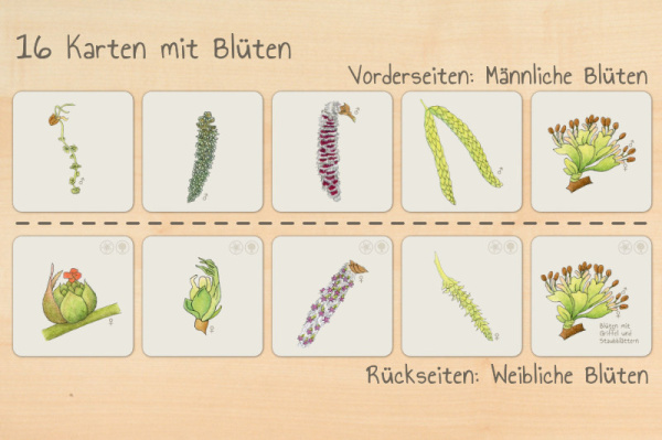 laubwerkstatt_druck5