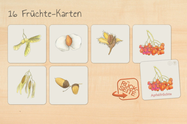 laubwerkstatt_druck6
