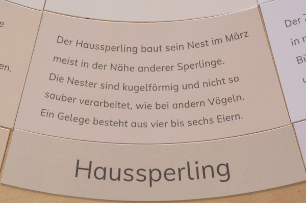 legekreis_voegel_druck3