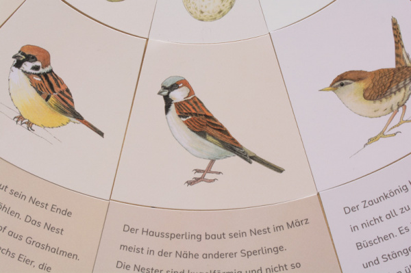 legekreis_voegel_druck4