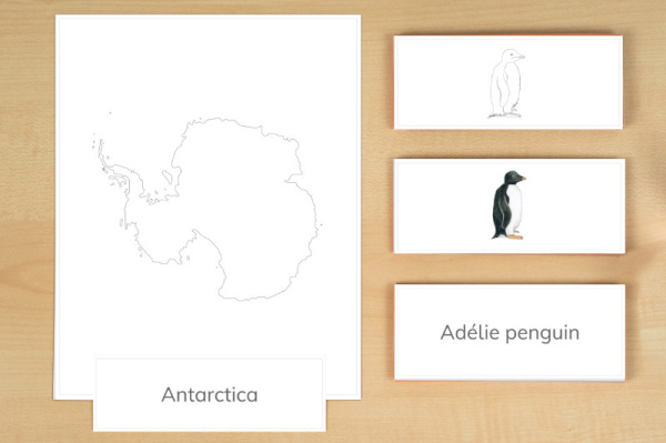 legematerial_antarktika_englisch