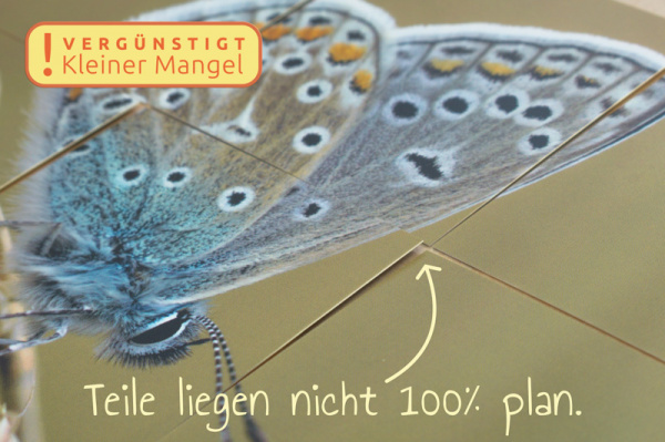 lernpuzzle_schmetterlinge5